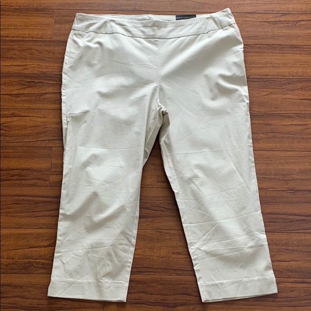 NWT Chico’s So Slimming Brigitte Ankle Pant